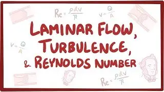 What is Reynolds Number, Laminar flow and Turbulent flow? || Mind Jhappi ||