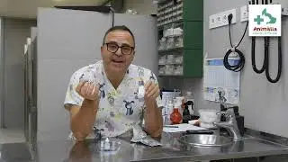 Cómo funciona un test de antígenos o anticuerpos