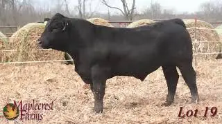 Lot 19, Maplecrest Cowboy Cut 870F