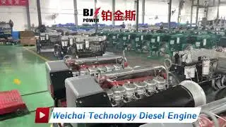 Weichai Technology diesel engine