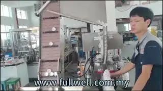 Automatic Capping Machine with Cap Elevator