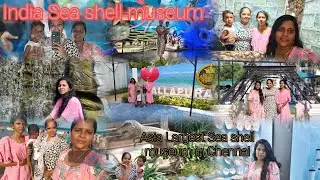 Visit to India Sea ⛵ shell 🐚 Museum Part-1//Asia Largest Sea shell museum 🐚 In chennai #amsuvlogs#yt