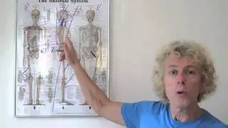 Motion Dynamics Postural Assessment