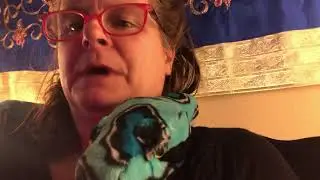 Bronchial Support by Banyan Botanicals quick review.