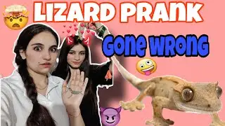 Lizard prank video gone wrong #tanwarsister#prank#viralvideo#trending#video