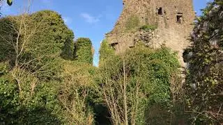 Carrigogunnell Castle Clarina County Limerick Ireland
