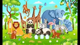 Animals Name | Learn animals names with sopnoeducationTV
