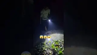 He Caught This Fish With Bare Hands at Night! 😱🌙🐟