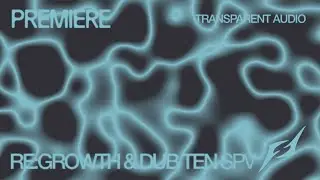 Re:growth, Dub Ten - SPV