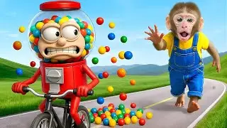 Funny Monkey Videos