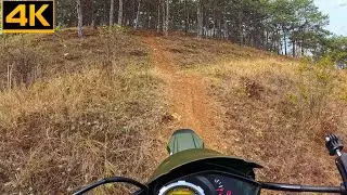 Езда в лесу на COLT Scrambler. Остался очень доволен.