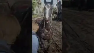 Lady saves Arthur from duel
