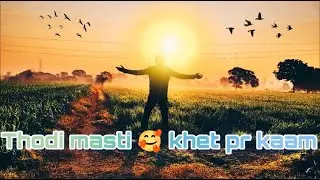 Gaay🐄 Ke Liye Nirav Laya 🐄 | Khet Wali Zindagi 🌾