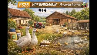 Farming Simulátor 25 - HOF BERGMANN💥🚜🌾(záznam streamu)