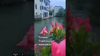 tiramisu nerede doğdu #treviso #travelvlog #travel #tiramisu #italy #venedik #europe #love #tourist