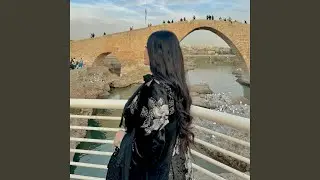 Dilo Dilo