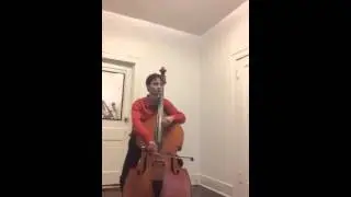 Phenomenal bargain Czech flatback bass at Quantum Bass Center