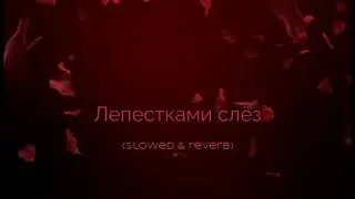 Лепестками слез (slowed & reverb)