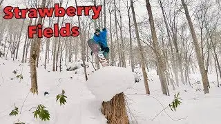 Snowboarding POWDER PILLOWS in Strawberry Fields!! (Hanazono, Japan)