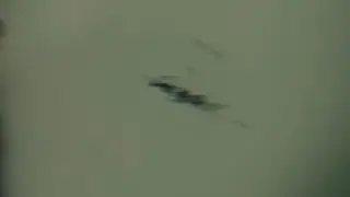Scratch