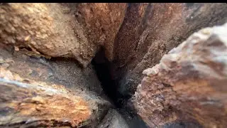 Be good timber in Pakistan