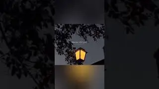 tu mera he ru mera he #short #virel #video #newediting
