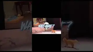 Aura Cat 🥶☠️🐈💀 #trollshorts #memes #comedy #funny #comedy shorts #funny shorts #edits #cats#aura#fyp