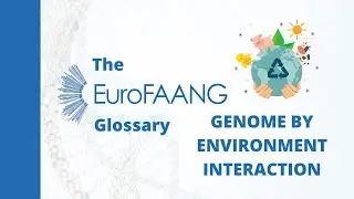 The EuroFAANG Glossary: Genome by Environment Interaction