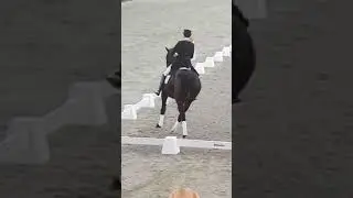 coby van baalen tijdens outdoor gelderland dressage bastards