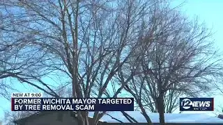 Former Wichita mayor targeted by tree removal scam