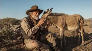 Cowboy Shot and Unable to Walk &mdash; His Old Donkey&rsquo;s Action Left Everyone Speechless