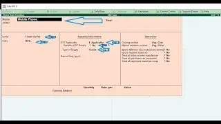 How to create Stock group & stock item