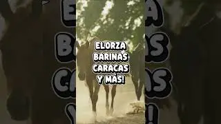 Los Cl&aacute;sicos M&aacute;s Sonados de Venezuela | Caracas, Barinas y Elorza 🎵 Mix de M&uacute;sica Llanera