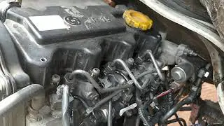 Leyland Dost starting problems