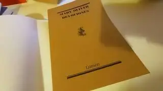 Novos exemplares adquiridos (decembro 2025) (Apertura de libros)
