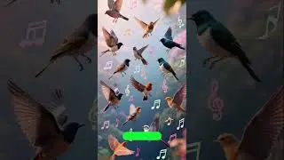 Why do birds sing in the morning?