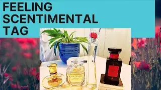 FEELING SCENTIMENTAL TAG I TheTopNote #perfumecollection #perfume