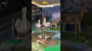Flamingo#shorts #viral #trending #youtubeshorts #video #love #travel #subscribe #ytshorts #yt #fun