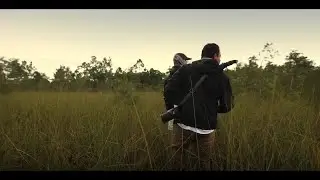 Trekking through the swamp near Florida’s Alligator Alcatraz