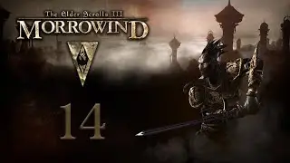 TES III: Morrowind. #14