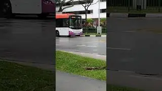 Scania KUB on Express 502