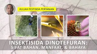Insektisida Dinotefuran: Sifat fisik-kimia, manfaat, dan bahayanya