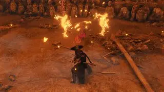 Sekiro- 