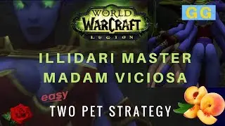 Fast Madam Viciosa 2 Pet Strategy