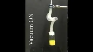 Soft Robotic Tentacle Lifting a Bottle
