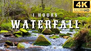 Serenity in Nature: Stunning 4K Waterfall Surrounded by Vibrant Greenery