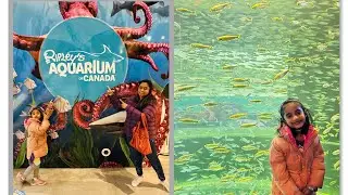 Ripley&rsquo;s Aquarium of Canada |  Toronto #aquarium #toronto #canada @funvlogswithdiya