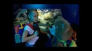Becky and Barnaby Bear at the aquarium 2002