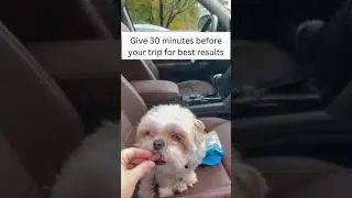 Does your pup get anxious on long car rides?