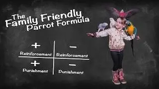 What the HECK is the Family Friendly Parrot Formula?